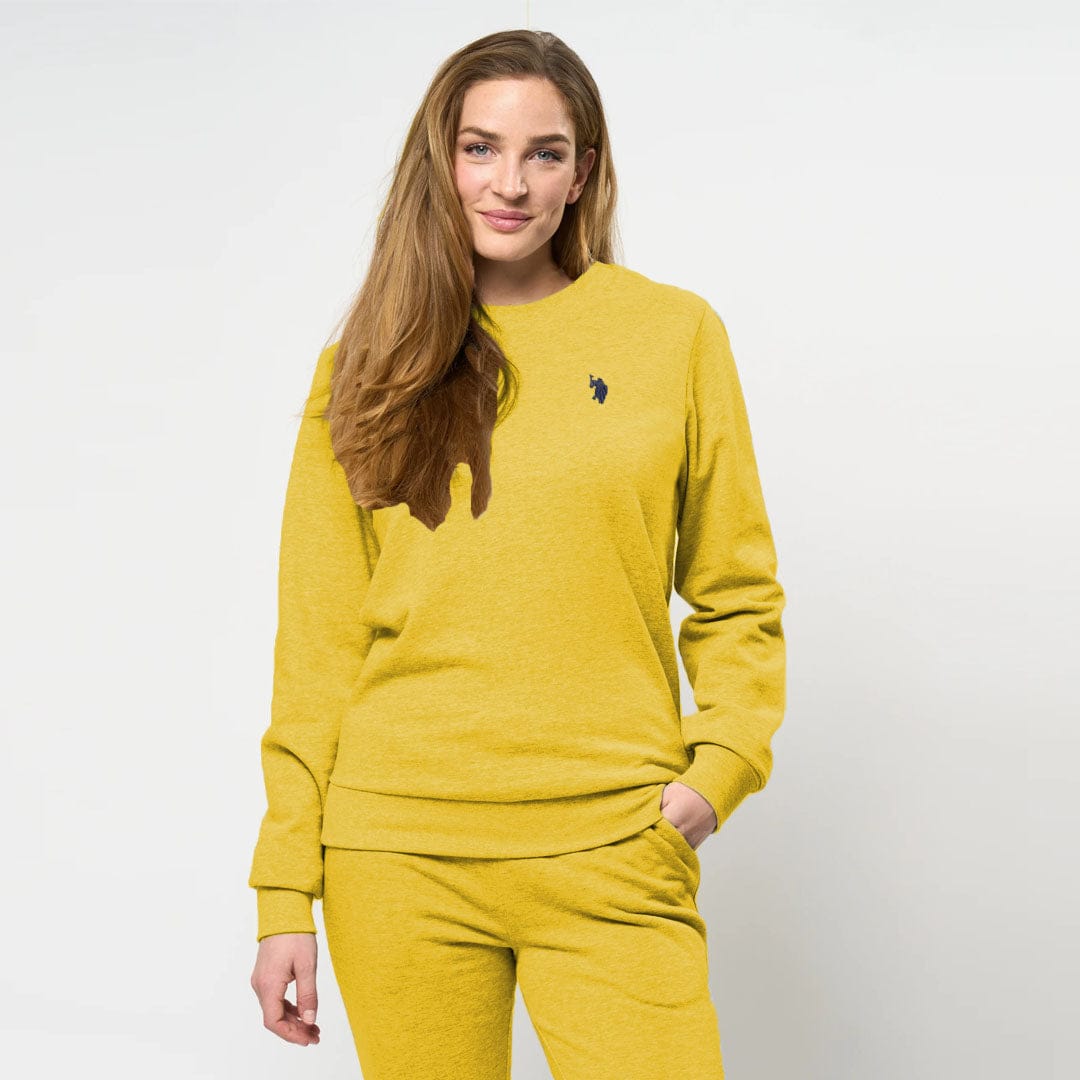 Polo Asn women Crew Neck Yellow Sweat shirt For Winter